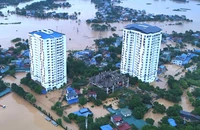 Thủ tướng: Khẩn trương cung cấp lương thực, nhu yếu phẩm cho người dân bị ảnh hưởng bão số 3