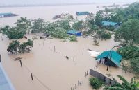 CẬP NHẬT: Lũ sông Hồng đạt mức lịch sử 20 năm, đe dọa Hà Nội và nhiều tỉnh lân cận