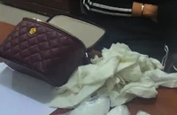 Cô gái đang nhận nửa ký ma túy ở cây xăng thì bị bắt 