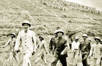 Bác vẫn cùng chúng cháu hành quân