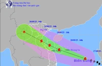 Bão số 10 áp sát vùng biển Đà Nẵng, hướng về Quảng Trị, Ninh Bình