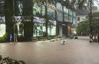 Bão số 10: 51 người chết và mất tích, thiệt hại hơn 8.000 tỉ đồng