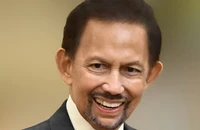 Quốc vương Brunei đến Hà Nội, bắt đầu chuyến thăm cấp Nhà nước tới Việt Nam