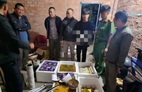 Thanh niên khai chế tạo gần 2 tạ pháo nổ vì ‘đam mê’