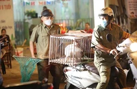 Chú chó được chủ thả rông ra đường bị bắt nhốt vào lồng, đưa về UBND phường Kim Giang để chờ chủ đến nhận lại sau khi bị nhắc nhở, xử phạt. Ảnh: TRỌNG PHÚ