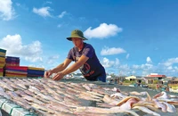 Thành quả sau chuyến ra khơi của ngư dân.