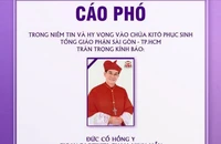 Thông tin tang lễ Đức Hồng y Gioan Baotixita Phạm Minh Mẫn