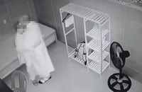 Ban Truyền thông Giáo hội Phật giáo Việt Nam lên tiếng về hành vi “thiếu chuẩn mực” của tu sĩ Thích Nhuận Nghi