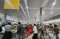 Giá vé máy bay nội địa tăng 