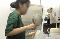Sinh viên không làm quá 20 giờ/tuần: Học phí tăng nhưng giảm giờ làm