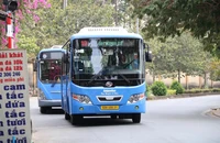 Bị quáng gà có được cấp GPLX hạng D không?