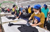 Doanh nghiệp có bắt buộc thưởng Tết cho người lao động không?