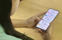 Coi chừng sập "bẫy" vé máy bay giá rẻ dịp Tết Nguyên đán