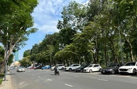 Đỗ xe ô tô trên miệng cống bị phạt bao nhiêu?