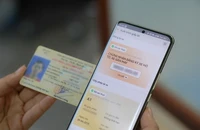 Thời gian tước GPLX tính từ khi nào?