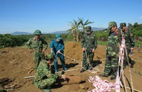Xử lý thành công quả bom M82 trong vườn cà phê