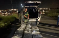 Ô tô 7 chỗ chở 1500 cây thuốc lá lậu