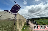 Vụ con rể sát hại 4 người nhà vợ: Hung thủ từng nhiều lần đánh vợ 