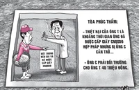Kiện người cản trở canh tác lúa trên đất trúng đấu giá