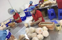 Phục hồi kinh tế năm 2022: Doanh nhân mong muốn gì?