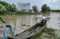 Công an An Giang truy bắt đường dây đưa người qua Campuchia trái phép