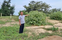 Kiện chủ tịch xã vì không hòa giải tranh chấp đất đai