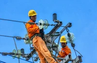 Giá điện sẽ được điều chỉnh thường xuyên hơn?