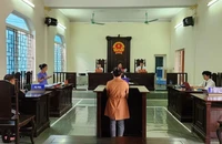 Vụ vợ cắt 'của quý' chồng: Tòa, viện trái quan điểm về tội danh