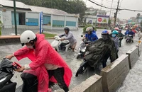 Trong 2 năm, TP.HCM xóa được 5 tuyến đường ngập do mưa
