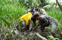Quyết tâm khởi công dự án vành đai 3 vào tháng 6