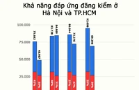 Các phương án trước mắt và lâu dài cho ngành đăng kiểm