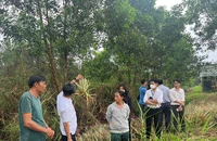 Sẵn sàng hy sinh lợi ích vì dự án vành đai 3