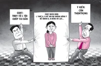 Cần làm rõ vai trò đồng phạm trong vụ đòi nợ 20 triệu đồng
