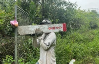 TP.HCM chia sẻ kinh nghiệm làm đường vành đai 3