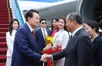 Quan hệ Việt - Hàn: Bắt đầu tăng tốc chiến lược