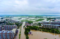 Trung Quốc: Hơn 140 người chết và mất tích vì lũ do bão Doksuri