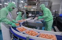 Xuất khẩu phục hồi nhưng hàng Việt đối diện thách thức mới