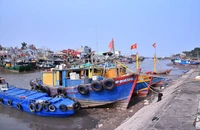 Ngư dân lo tàu nằm bờ vì đăng kiểm dừng hoạt động