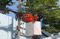 Để không toát mồ hôi với hóa đơn tiền điện mùa nắng nóng