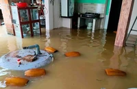 Nhiều căn nhà ở Bình Định bị ngập sâu trong lũ.