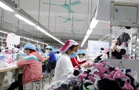 Lần sửa Luật BHXH này có nhiều điểm đáng chú ý, đặc biệt là quy định giảm thời gian tham gia BHXH hưởng lương hưu.