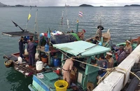 Thái Lan bắt giữ một số người Việt tham gia đánh bắt cá trái phép vào năm 2019 ở biển của nước này.