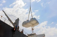 Trước mắt, việc đồng euro mất giá chưa ảnh hưởng nhiều đến xuất khẩu hàng Việt. 