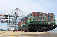 Cảng Cái Mép - Thị Vải (Bà Rịa-Vũng Tàu) là một trong những cảng container tiên phong trong việc đón các tàu trọng tải lớn, được xếp vào nhóm cảng hàng đầu thế giới.
