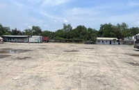Khu đất tại Khu công nghiệp Cát Lái mà Công ty Tân Tạo thuê bị vướng pháp lý hơn 20 năm qua nên chưa được cấp sổ, chưa thể khai thác.