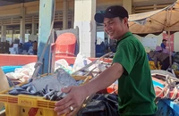 Ngư dân Phú Yên mong thời gian tới giá hải sản tăng trở lại để họ có thể yên tâm vươn khơi bám biển.