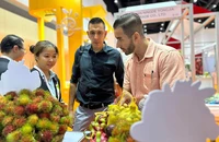 Nhiều sản phẩm trái cây Việt Nam đã và đang chinh phục được những thị trường khó tính.