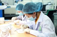 Hoạt động nghiên cứu ở ĐH Quốc gia TP.HCM. 