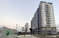 Một góc chung cư nhà ở xã hội Ecohome Nhơn Bình.