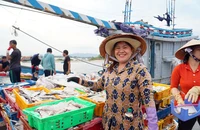 Ngư dân đánh bắt hợp pháp tại xã Phước Tỉnh, huyện Long Điền, Bà Rịa-Vũng Tàu.